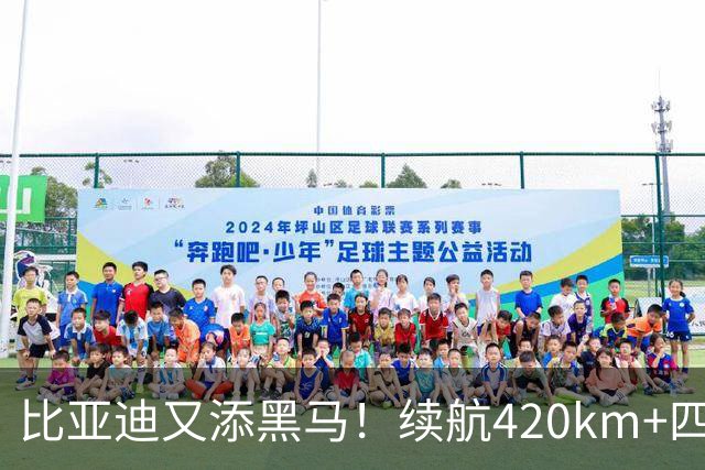 比亚迪又添黑马！续航420km+四轮独悬，还带激光雷达，6.59万起！