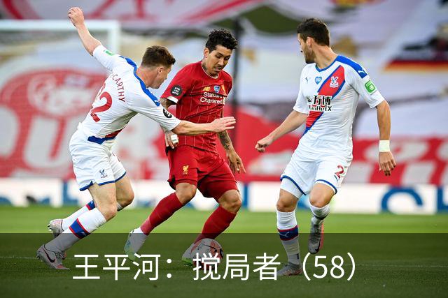 王平河：搅局者（5/8）